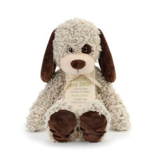 Load image into Gallery viewer, Big Brother / Big Sister Plush Puppy