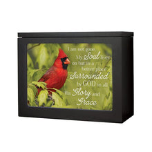 Load image into Gallery viewer, Light Box - "Soul Lives on..." - Picture Frame - Cardinal