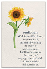 Load image into Gallery viewer, Greeting Card - Birthday - &quot;Sunflowers... lean in.&quot;