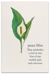 Greeting Card - Condolence - "Peace Lilies"