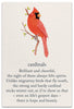 Greeting Card - Friendship - "...even on life's grayest days..."