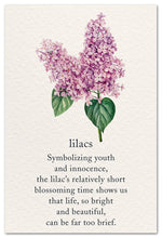 Load image into Gallery viewer, Greeting Card-Condolence "Lilacs" Symbolizing youth...