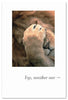 Greeting Card - Birthday - "Yep, another one..."