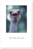 Greeting Card - Birthday - "...one fabulous old bird."