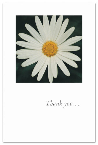 Greeting Card - Thank You - 