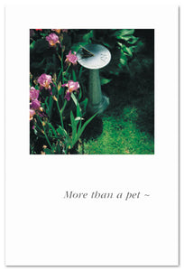 Greeting Card - Pet Condolence - "More than a pet..."