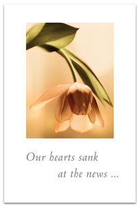 Greeting Card - Condolence - "...Please know we're thinking of you..."