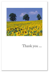 Cards~Sunflowers "Thank you for your never-ending kindness"