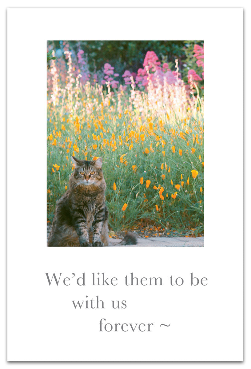 Greeting Card - Pet Condolence