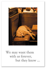 Load image into Gallery viewer, Greeting Card - Pet Condolence - &quot;...time to go sleep with the angels.&quot;