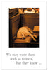 Greeting Card - Pet Condolence - "...time to go sleep with the angels."