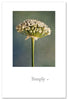 Greeting Card - Thank you - "Simply, thank you"