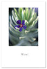 Greeting Card - Thank you