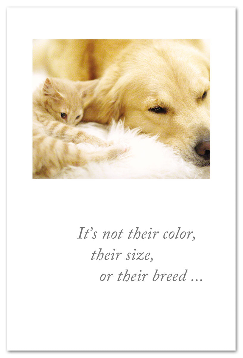 Greeting Card-Pet Condolence 