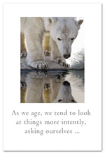 Load image into Gallery viewer, Greeting Cards-Birthday "As we age..." Polar Bear