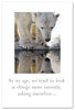 Greeting Cards-Birthday "As we age..." Polar Bear