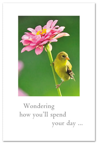 Greeting Card - Birthday - 