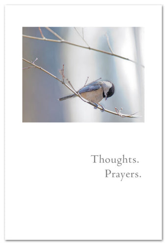 Greeting Card - Support & Encouragement - 