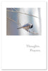 Greeting Card - Support & Encouragement - "...And high hopes."