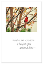 Load image into Gallery viewer, Greeting Card - Going Away - &quot;...you will be truly missed&quot;