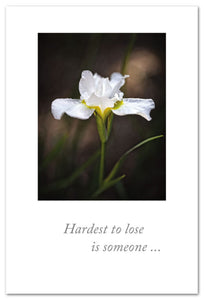 Greeting Card - Condolence - "...really showed us how to live"
