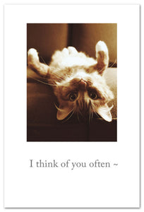 Greeting Card - Thinking of You - "I think of you often..."