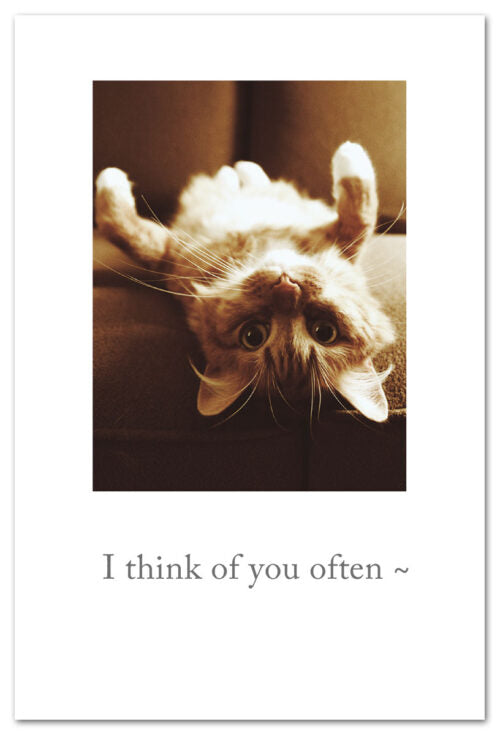 Greeting Card - Thinking of You - 