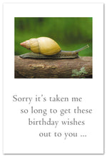 Load image into Gallery viewer, Greeting Card - Belated Birthday - &quot;...life has just been moving way faster than I do.&quot;