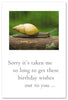 Greeting Card - Belated Birthday - "...life has just been moving way faster than I do."