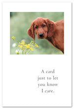 Load image into Gallery viewer, Greeting Card - Thinking of You - A card just to let you know