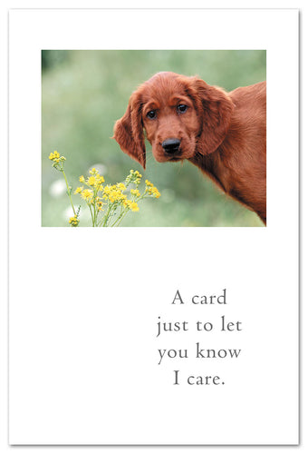 Greeting Card - Thinking of You - A card just to let you know