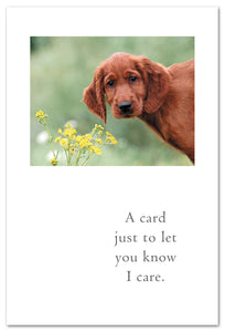 Greeting Card - Thinking of You - A card just to let you know