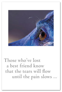 Greeting Card - Pet Condolence - "Those who've lost a best friend..."