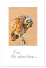 Greeting Card - Birthday - "Yep, this aging thing..."