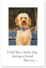Friendship - " I feel like a lucky dog..."