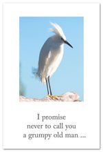 Load image into Gallery viewer, Greeting Card - Birthday - &quot;...a grumpy old man...&quot;