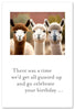Greeting Card - Birthday - "There Was A Time..."