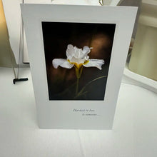 Load image into Gallery viewer, Everlasting Bloom