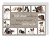 Pet Condolence Card - Multiple Dog