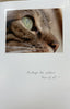 Greeting Card-Cat Condolence "Perhaps the saddest..."