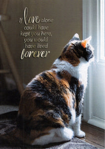 Greeting Card - Pet Loss Condolence - Cat - "If love could have kept you here..."