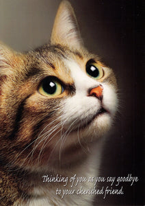 Greeting Card - Pet Loss Condolence - Cat - "...as you say goodbye to your cherished friend..."