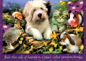 Greeting Card - Pet Loss Condolence - "A place called Rainbow Bridge"