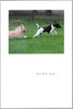 Greeting Card - Birthday - "Many Happy Birthdays"