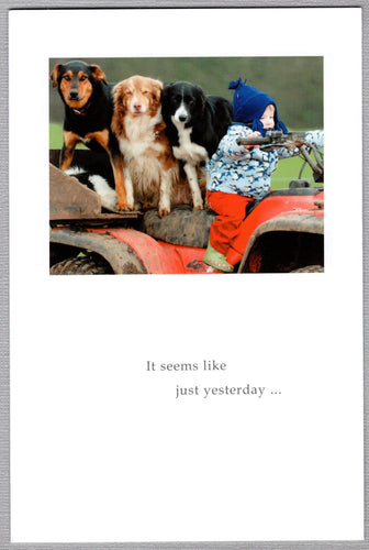 Greeting Card - Birthday - 