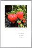 Greeting Card - Anniversary - "...couples as close and loving as you two."