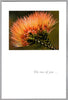 Greeting Card - Anniversary - "The two of you..."