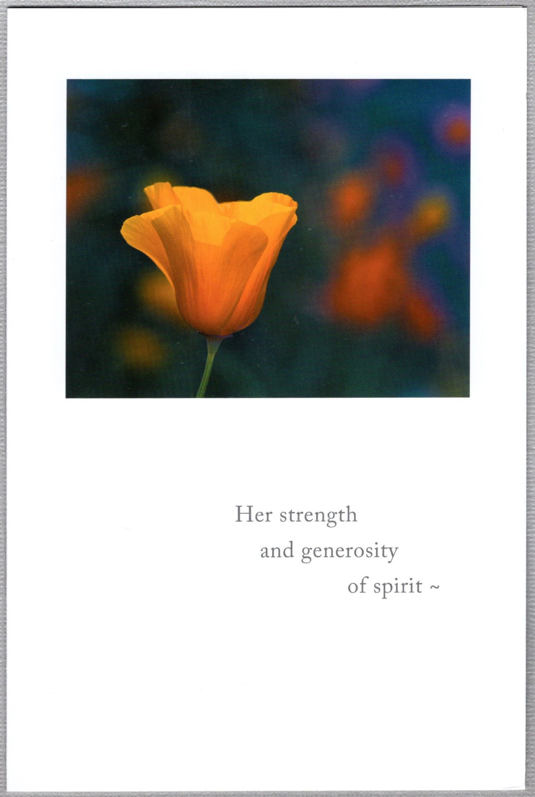 Greeting Card - Condolence - 