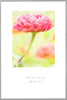 Greeting Card - Saying Goodbye - "Our love for you will live on..."