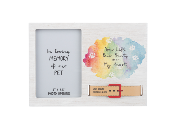 Pet Memorial Picture Frame - Collar Display - Multiple Sizes